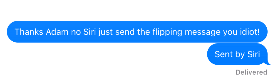 Annoying Siri Blank Meme Template