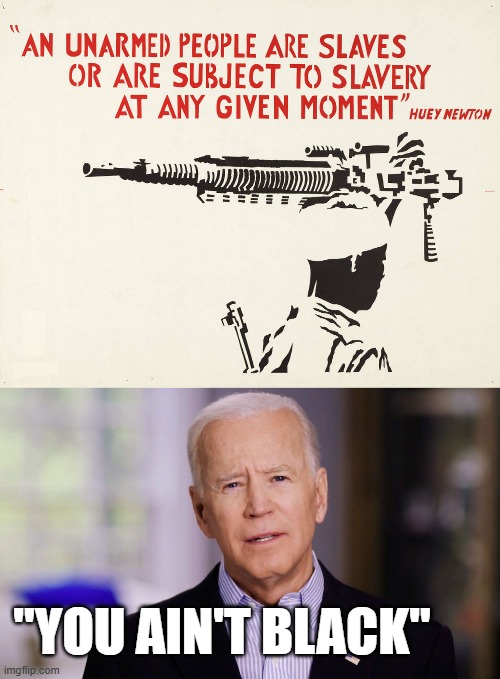guns prevent tyranny | "YOU AIN'T BLACK" | image tagged in joe biden 2020,2nd amendment,gun rights | made w/ Imgflip meme maker