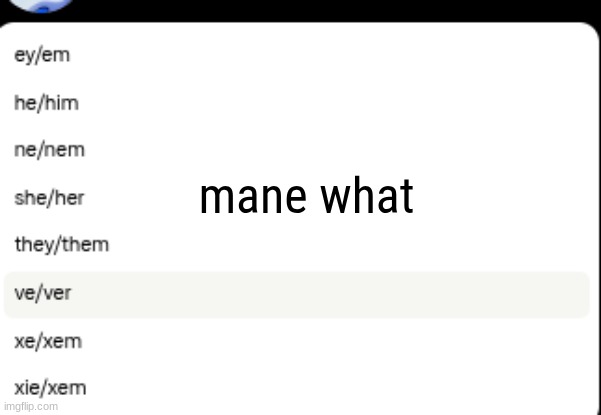 mane what | made w/ Imgflip meme maker