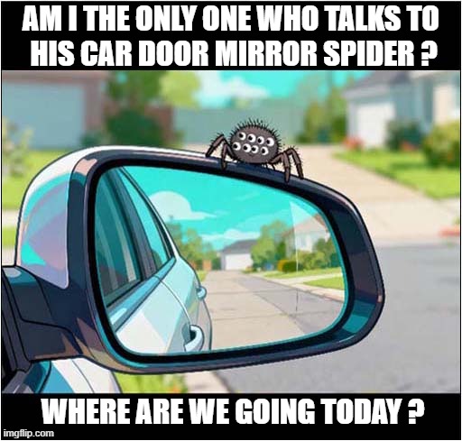 A Travel Companion | AM I THE ONLY ONE WHO TALKS TO
 HIS CAR DOOR MIRROR SPIDER ? WHERE ARE WE GOING TODAY ? | image tagged in spider,companion,door mirror,conversation | made w/ Imgflip meme maker