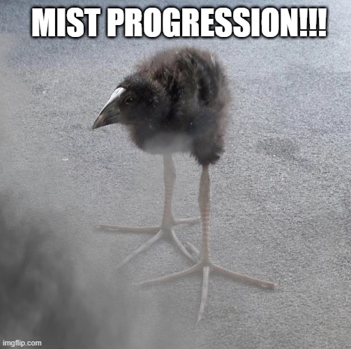 mist progression | MIST PROGRESSION!!! | image tagged in bird | made w/ Imgflip meme maker