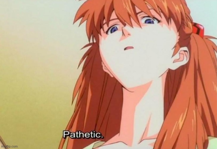 Kinda like you | image tagged in asuka pathetic,anime | made w/ Imgflip meme maker