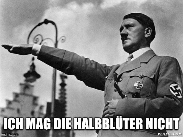 Hitler salute | ICH MAG DIE HALBBLÜTER NICHT | image tagged in hitler salute | made w/ Imgflip meme maker