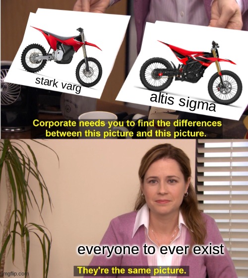 They're The Same Picture Meme | stark varg; altis sigma; everyone to ever exist | image tagged in memes,they're the same picture | made w/ Imgflip meme maker