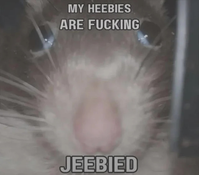 High Quality MY HEEBIES ARE FUCKING JEEBIED Blank Meme Template