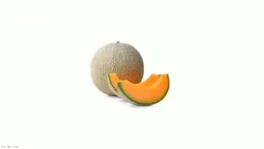image tagged in cantaloupe | made w/ Imgflip meme maker