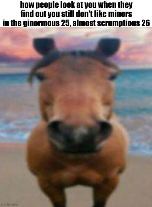 Evil Horse | how people look at you when they find out you still don't like minors in the ginormous 25, almost scrumptious 26 | image tagged in evil horse | made w/ Imgflip meme maker
