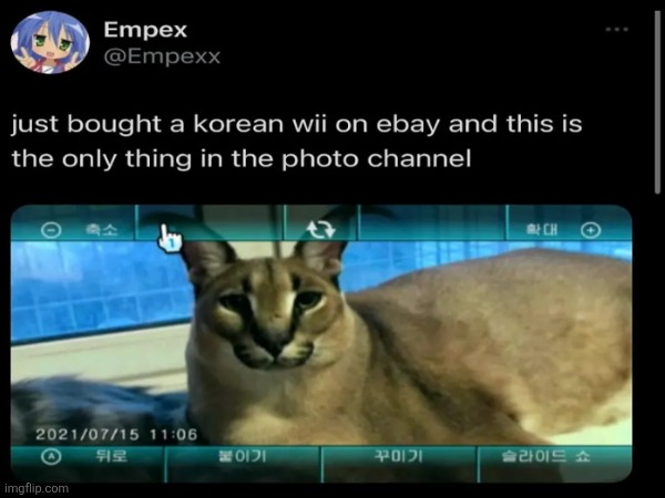 Important image | image tagged in wii,floppa | made w/ Imgflip meme maker
