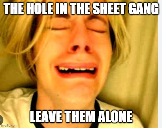 THE HOLE IN THE SHEET GANG; LEAVE THEM ALONE | made w/ Imgflip meme maker