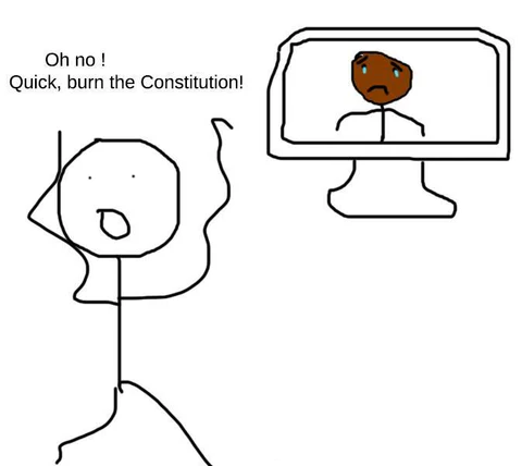 Burn the constitution Blank Meme Template