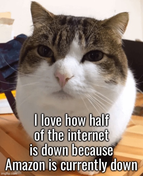 Can’t do school work. This sucks. | I love how half of the internet is down because Amazon is currently down | image tagged in oh the misery original | made w/ Imgflip meme maker