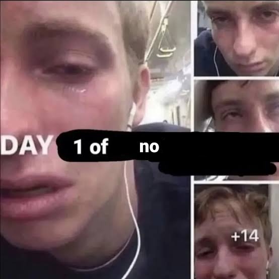 Day 1 of no Blank Meme Template
