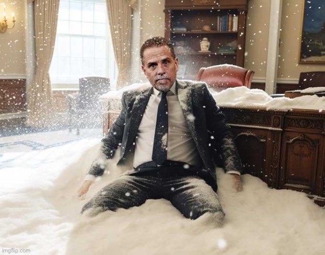 Hunter Biden | image tagged in hunter biden | made w/ Imgflip meme maker