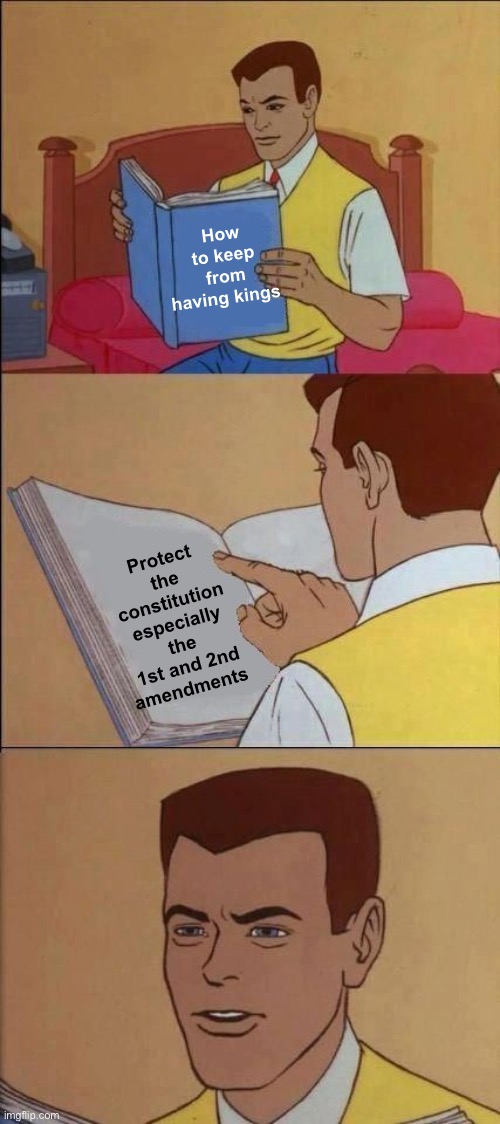 It’s EZ and already in place | How to keep from having kings; Protect the constitution especially the 1st and 2nd amendments | image tagged in book of idiots,politics lol,memes,facts | made w/ Imgflip meme maker