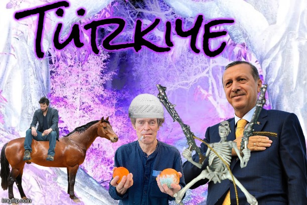 done! did I cook? | Türkiye | made w/ Imgflip meme maker