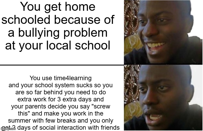 This is me, no lie | You get home schooled because of a bullying problem at your local school; You use time4learning and your school system sucks so you are so far behind you need to do extra work for 3 extra days and your parents decide you say "screw this" and make you work in the summer with few breaks and you only get 2 days of social interaction with friends | image tagged in disappointed black guy,i need help | made w/ Imgflip meme maker
