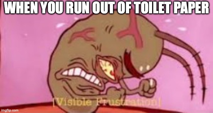 running our of toilet paper | WHEN YOU RUN OUT OF TOILET PAPER | image tagged in visible frustration | made w/ Imgflip meme maker