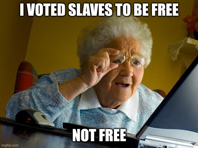 Grandma Finds The Internet | I VOTED SLAVES TO BE FREE; NOT FREE | image tagged in memes,grandma finds the internet | made w/ Imgflip meme maker