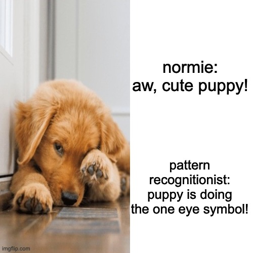 all seeing eye puppy | normie:
aw, cute puppy! pattern recognitionist:
puppy is doing the one eye symbol! | image tagged in puppy,illuminati,one eye symbolism | made w/ Imgflip meme maker