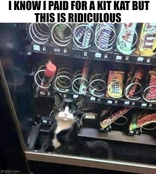 I Know I Paid For A Kit Kat But This Is Ridiculous | I KNOW I PAID FOR A KIT KAT BUT
THIS IS RIDICULOUS | image tagged in chris joines | made w/ Imgflip meme maker