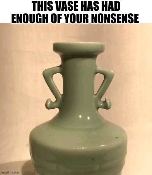 This Vase Has Had Enough Of Your Nonsense | THIS VASE HAS HAD ENOUGH OF YOUR NONSENSE | image tagged in chris joines | made w/ Imgflip meme maker
