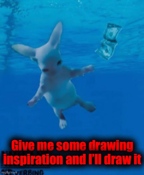 Only appropriate things fellas | Give me some drawing inspiration and I’ll draw it | image tagged in bingus nirvana | made w/ Imgflip meme maker