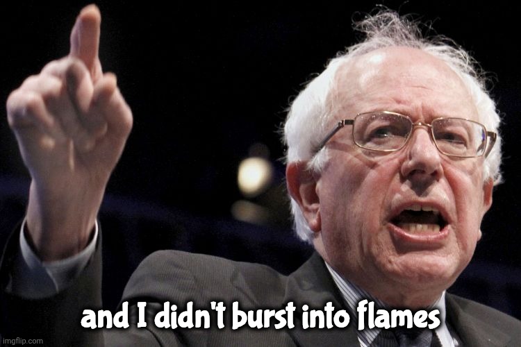 Bernie Sanders | and I didn't burst into flames | image tagged in bernie sanders | made w/ Imgflip meme maker