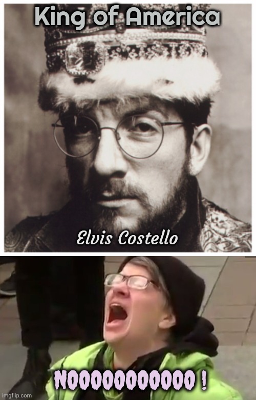 I found him | King of America; Elvis Costello; NOOOOOOOOOOO ! | image tagged in screaming liberal,elvis costello,record store,the king,well yes but actually no,good album | made w/ Imgflip meme maker