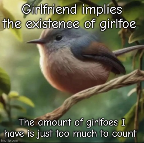 No balls | Girlfriend implies the existence of girlfoe; The amount of girlfoes I have is just too much to count | image tagged in no balls | made w/ Imgflip meme maker