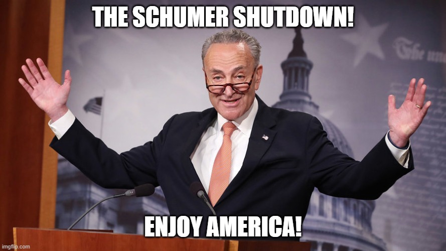 Chuck Schumer | THE SCHUMER SHUTDOWN! ENJOY AMERICA! | image tagged in chuck schumer | made w/ Imgflip meme maker
