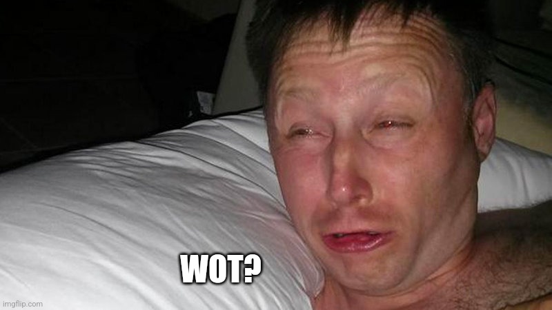 Limmy Waking Up | WOT? | image tagged in limmy waking up | made w/ Imgflip meme maker