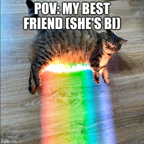 Rainbow Cat | POV: MY BEST FRIEND (SHE'S BI) | image tagged in rainbow cat | made w/ Imgflip meme maker