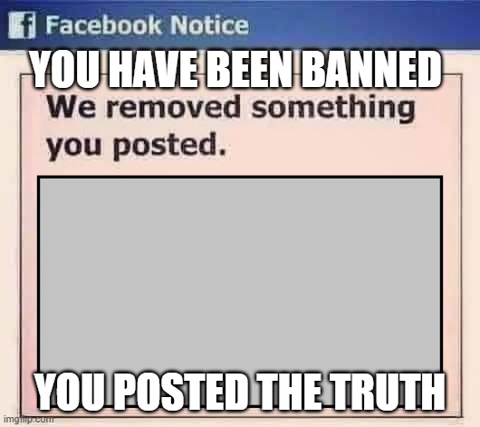 Facebook Banned TRUTH | YOU HAVE BEEN BANNED; YOU POSTED THE TRUTH | image tagged in facebook,truth,banned | made w/ Imgflip meme maker