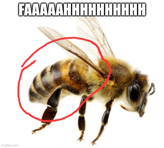 FAAAAAHHHHHHHHHH | made w/ Imgflip meme maker