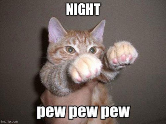 pew pew cat | NIGHT | image tagged in pew pew cat | made w/ Imgflip meme maker