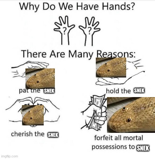 Why Do We Have Hands | SNEK; SNEK; SNEK; SNEK | image tagged in why do we have hands | made w/ Imgflip meme maker