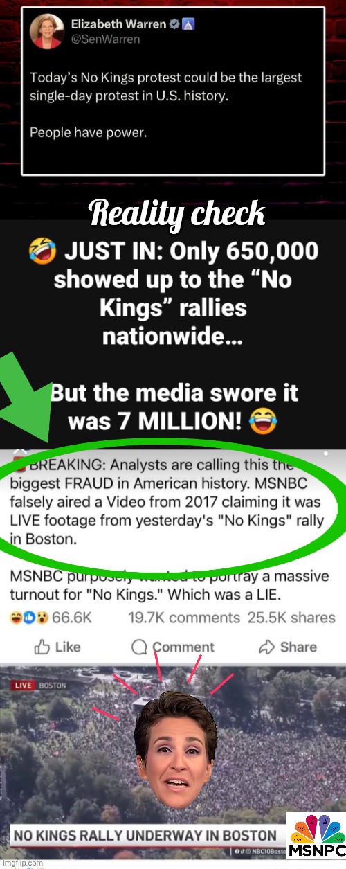 How many protestors? Lol. | Reality check | image tagged in rachel maddow,fraud,protesters | made w/ Imgflip meme maker