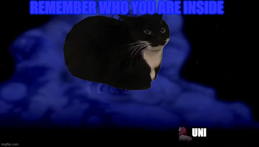 Remember who you are | REMEMBER WHO YOU ARE INSIDE UNI | image tagged in remember who you are | made w/ Imgflip meme maker