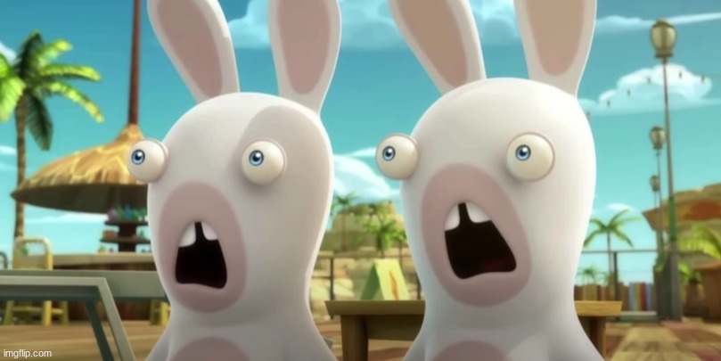 Baffled Rabbids | image tagged in baffled rabbids | made w/ Imgflip meme maker