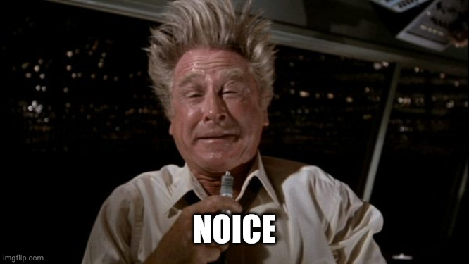 Lloyd Bridges Airplane | NOICE | image tagged in lloyd bridges airplane | made w/ Imgflip meme maker