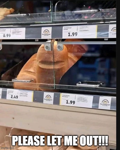 Funny Bread | PLEASE LET ME OUT!!! | image tagged in funny,memes | made w/ Imgflip meme maker