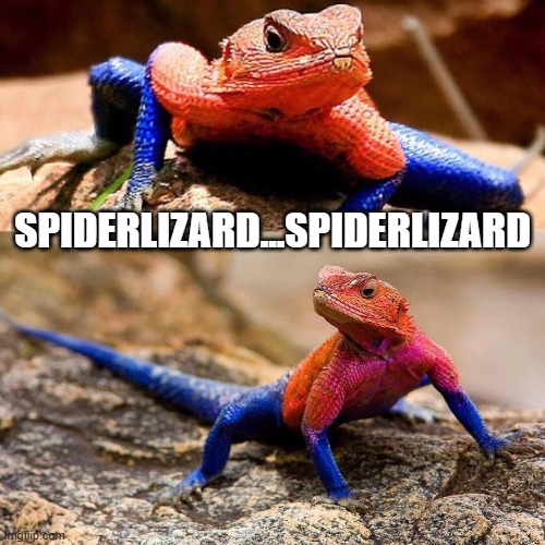 Somewhere in Another Reality | SPIDERLIZARD...SPIDERLIZARD | image tagged in spiderman | made w/ Imgflip meme maker