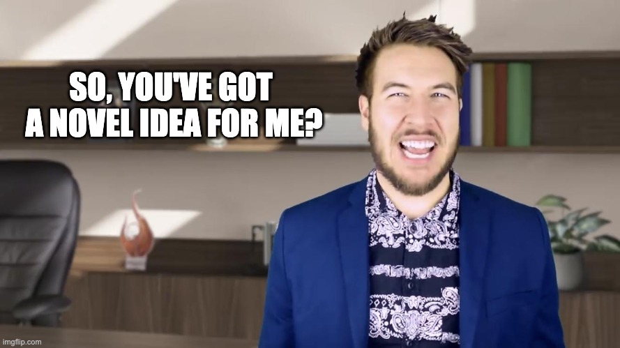 Ryan George Pitch meeting | SO, YOU'VE GOT 
A NOVEL IDEA FOR ME? | image tagged in writing | made w/ Imgflip meme maker