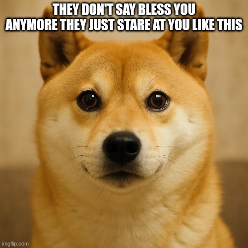meme2 | THEY DON'T SAY BLESS YOU ANYMORE THEY JUST STARE AT YOU LIKE THIS | image tagged in doge | made w/ Imgflip meme maker