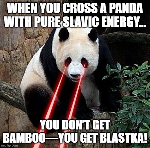 Laser panda | WHEN YOU CROSS A PANDA WITH PURE SLAVIC ENERGY... YOU DON’T GET BAMBOO—YOU GET BLASTKA! | image tagged in laser panda,slavic laser,slavic lives matter | made w/ Imgflip meme maker