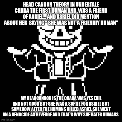 Good head cannon theory | HEAD CANNON THEORY IN UNDERTALE CHARA THE FIRST HUMAN AND  WAS A FRIEND OF ASRIEL... AND ASRIEL DID MENTION ABOUT HER  SAYING " SHE WAS NOT A FRIENDLY HUMAN"; MY HEADCANNON IS THE CHARA WAS YES EVIL AND NOT GOOD BUT SHE WAS A SOFTIE FOR ASRIEL BUT SOMEHOW AFTER THE HUMANS KILLED ASRIEL SHE WENT ON A GENOCIDE AS REVENGE AND THAT'S WHY SHE HATES HUMANS | image tagged in sans undertale | made w/ Imgflip meme maker