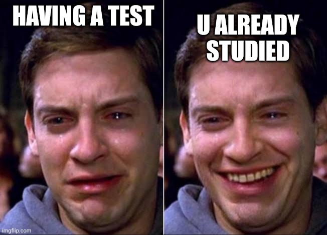 Spiderman crying | U ALREADY STUDIED; HAVING A TEST | image tagged in spiderman crying | made w/ Imgflip meme maker