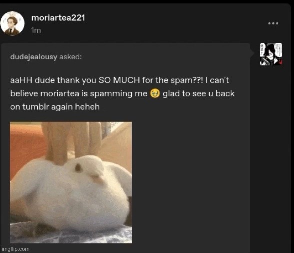 Love this person so much they are so relatable | made w/ Imgflip meme maker