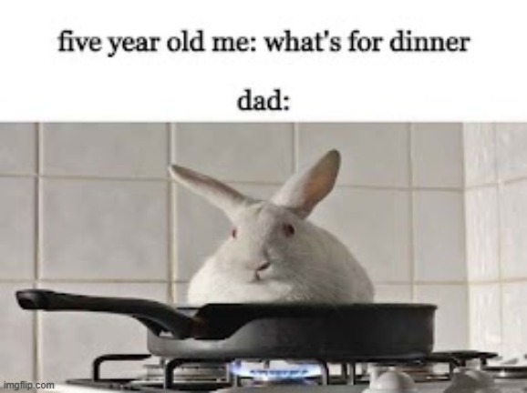 stove bunny | image tagged in bunny,cooking,memes,funny,dad | made w/ Imgflip meme maker