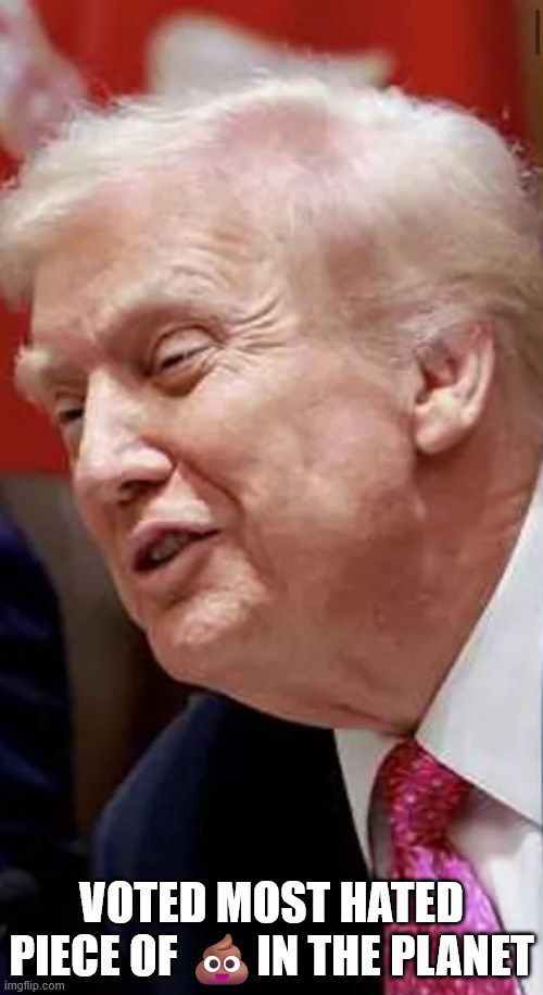 finally number 1 at something | VOTED MOST HATED PIECE OF 💩IN THE PLANET | made w/ Imgflip meme maker